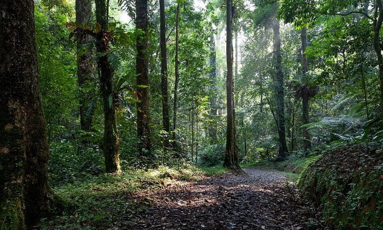 Bilecik Gezilecek Yerler