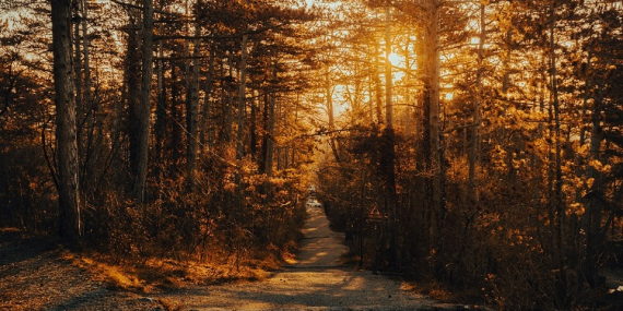 Yürüyüş Tutkunları için Tatil Rehberi: Doğa Yürüyüşü Rotaları