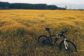Adapazarı Gezilecek Yerler