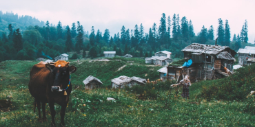 Artvin Gezilecek Yerler