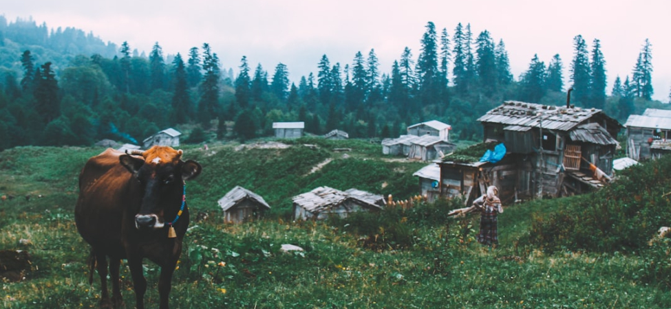 Artvin Gezilecek Yerler