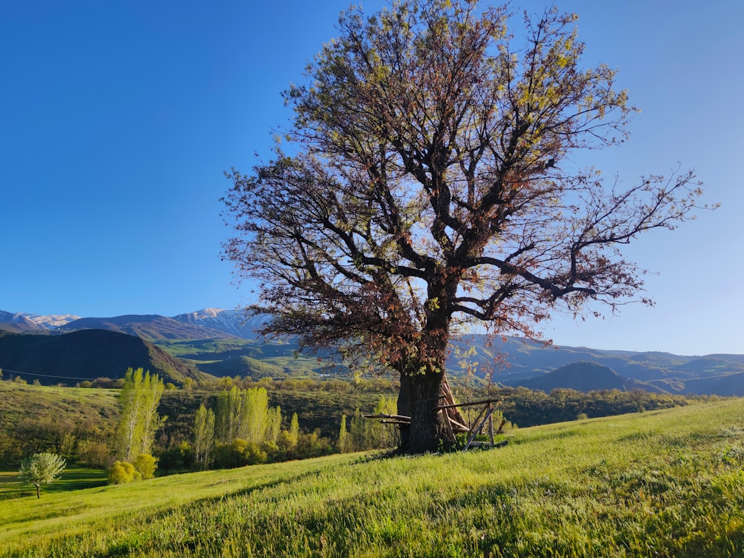 Bingöl Gezilecek Yerler