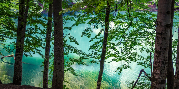 Bolu Gezilecek Yerler