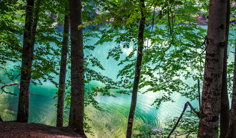Bolu Gezilecek Yerler
