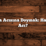 Adana-Urfa Acısına Doymak: Hangisi Daha Acı?