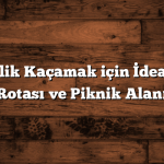 Günübirlik Kaçamak için İdeal 5 Doğa Rotası ve Piknik Alanı