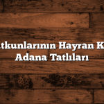 Tatlı Tutkunlarının Hayran Kalacağı Adana Tatlıları