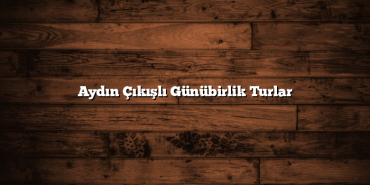 Aydın Çıkışlı Günübirlik Turlar