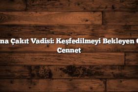 Adana Çakıt Vadisi: Keşfedilmeyi Bekleyen Gizli Cennet