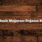 Altın Beşik Mağarası: Doğanın Büyüsü