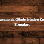 Emlak Piyasasında Gözde İsimler: En İyi Emlak Firmaları
