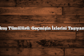 Karakuş Tümülüsü: Geçmişin İzlerini Taşıyan Anıt