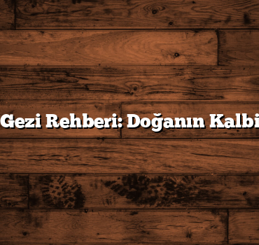 Kaz Dağları Gezi Rehberi: Doğanın Kalbinde Bir Tatil