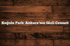 Kuğulu Park: Ankara’nın Gizli Cenneti