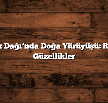 Tendürek Dağı’nda Doğa Yürüyüşü: Rotalar ve Güzellikler
