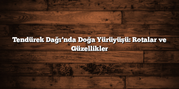 Tendürek Dağı’nda Doğa Yürüyüşü: Rotalar ve Güzellikler