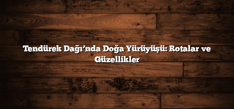 Tendürek Dağı’nda Doğa Yürüyüşü: Rotalar ve Güzellikler