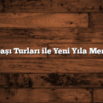 Vizesiz Yılbaşı Turları ile Yeni Yıla Merhaba Deyin