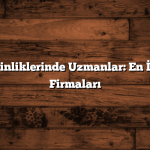 Yerin Derinliklerinde Uzmanlar: En İyi Jeoloji Firmaları