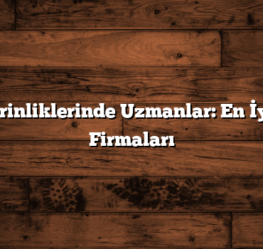 Yerin Derinliklerinde Uzmanlar: En İyi Jeoloji Firmaları