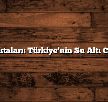 Dalış Noktaları: Türkiye’nin Su Altı Cennetleri