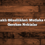 Ege’nin Saklı Güzellikleri: Mutlaka Gezmeniz Gereken Noktalar