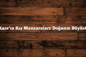Kars’ın Kış Manzaraları: Doğanın Büyüsü