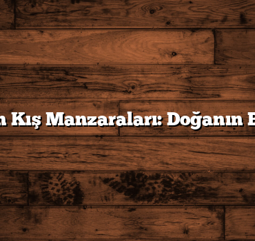 Kars’ın Kış Manzaraları: Doğanın Büyüsü