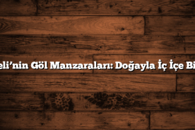 Kocaeli’nin Göl Manzaraları: Doğayla İç İçe Bir Gün