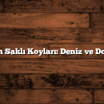 Mersin’in Saklı Koyları: Deniz ve Doğa Keyfi