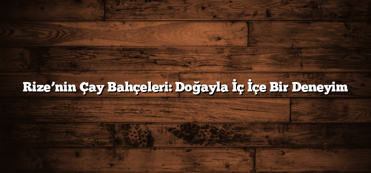 Rize’nin Çay Bahçeleri: Doğayla İç İçe Bir Deneyim