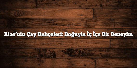 Rize’nin Çay Bahçeleri: Doğayla İç İçe Bir Deneyim