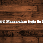 Sakarya’nın Göl Manzaraları: Doğa ile İç İçe Bir Gezi