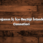 Tarih ve Doğanın İç İçe Geçtiği İstanbul’un Gizli Cennetleri