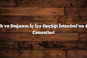 Tarih ve Doğanın İç İçe Geçtiği İstanbul’un Gizli Cennetleri