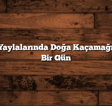 Trabzon’un Yaylalarında Doğa Kaçamağı: Huzur Dolu Bir Gün