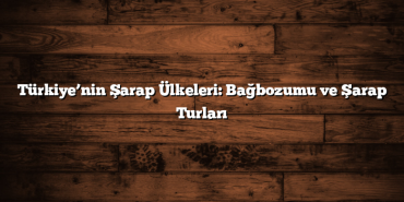 Türkiye’nin Şarap Ülkeleri: Bağbozumu ve Şarap Turları
