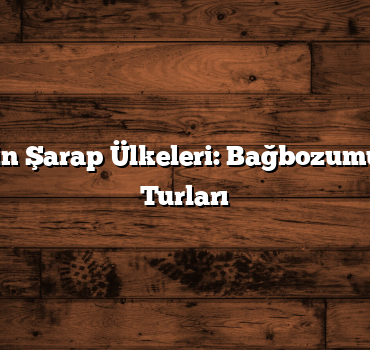 Türkiye’nin Şarap Ülkeleri: Bağbozumu ve Şarap Turları