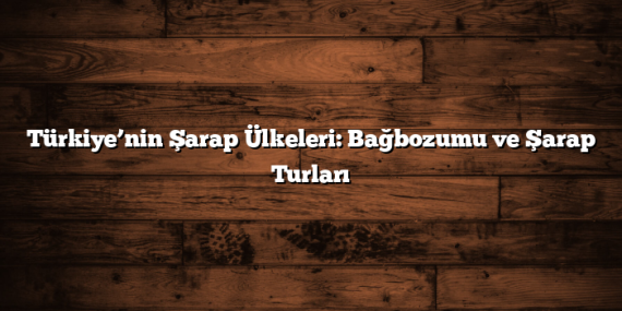 Türkiye’nin Şarap Ülkeleri: Bağbozumu ve Şarap Turları