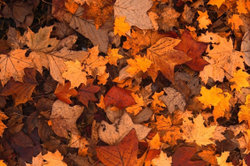 sonbaharda gezilecek yerler