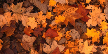 sonbaharda gezilecek yerler