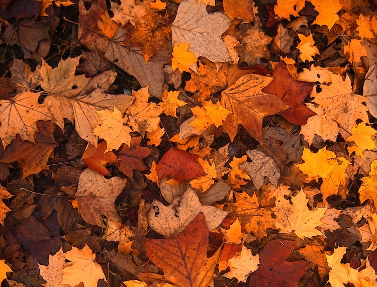 sonbaharda gezilecek yerler