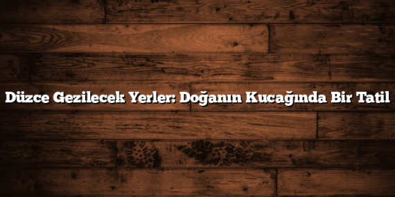Düzce Gezilecek Yerler: Doğanın Kucağında Bir Tatil