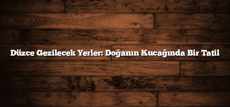 Düzce Gezilecek Yerler: Doğanın Kucağında Bir Tatil