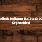 Fethiye Otelleri: Doğanın Kalbinde Konaklama Seçenekleri