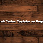 Rize Gezilecek Yerler: Yaylalar ve Doğa Harikaları