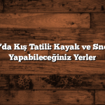 Trabzon’da Kış Tatili: Kayak ve Snowboard Yapabileceğiniz Yerler