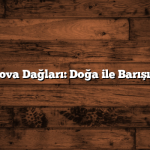 Yalova Dağları: Doğa ile Barışıyor