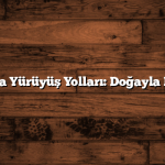 Yalova’da Yürüyüş Yolları: Doğayla Baş Başa