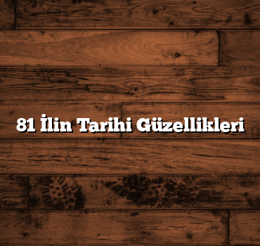 81 İlin Tarihi Güzellikleri